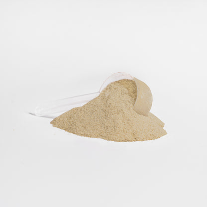 KH Power Protein: Whey Protein Shake - French Vanilla